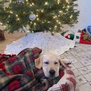 Meet your Posher, Cian